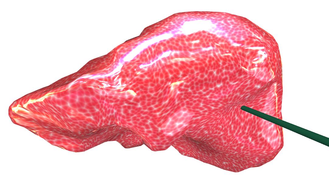 animation of liver
